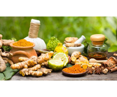 AYURVEDIC COOKING CLASSES AND PRIVATE CHEF SERVICES, YOGA RETREATS, WEDDINGS, SPECIAL EVENTS, PARTIE | free-classifieds.co.uk - 5