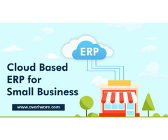 Cloud-Based ERP Software For Growing SMBs | free-classifieds.co.uk - 1