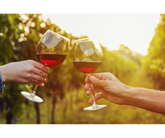 Best Wine Tasting Services in North West England | free-classifieds.co.uk - 3