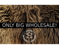NATURAL SHEEPSKINS - DUTCH AND TEXEL MANUFACTURER - TOP QUALITY LAMBSKINS | free-classifieds.co.uk - 1