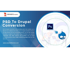 PSD to Drupal Conversion, PSD to Drupal Development - Convert2Themes | free-classifieds.co.uk - 1