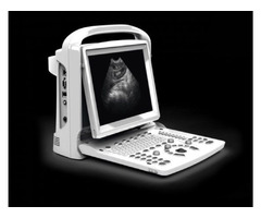 Portable ultrasound machines - 2