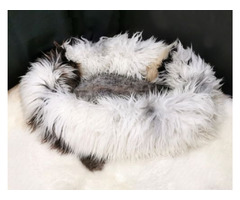 Dog bed. Animal sheepskin lairs | free-classifieds.co.uk - 2