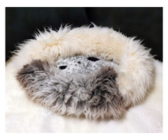 Dog bed. Animal sheepskin lairs | free-classifieds.co.uk - 6