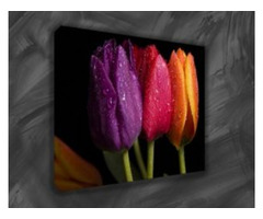 Best Offers on Bulk Canvas Print | free-classifieds.co.uk - 1