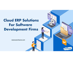 Impeccable Cloud-Based ERP Solution For Small Businesses - 1