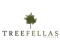 Professional Tree Surgeons in Glasgow | free-classifieds.co.uk - 1