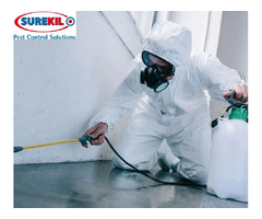 Get Rid of Bed Bugs for Good - Surekil Pest Control Ltd Offers Effective Bug Treatment in London | free-classifieds.co.uk - 1