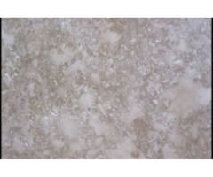 Elevate Your Project with Exquisite Italian Marble - 2