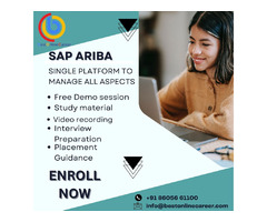 Online SAP Ariba training from Best Online Career | free-classifieds.co.uk - 2