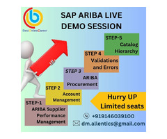 Online SAP Ariba training from Best Online Career | free-classifieds.co.uk - 4