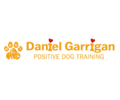 Dog Training Puppy Training in Ashton in Makerfield | free-classifieds.co.uk - 2