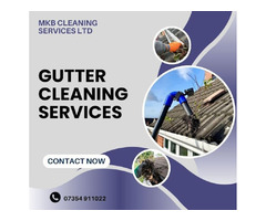  Hire Expert Gutter Cleaning Services to Keep Your Gutter Dirt-Free | free-classifieds.co.uk - 1