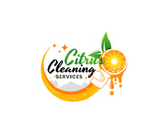 Professional Window Cleaning Services for Spotless Windows! | free-classifieds.co.uk - 1