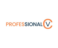 Professional CV UK | free-classifieds.co.uk - 1
