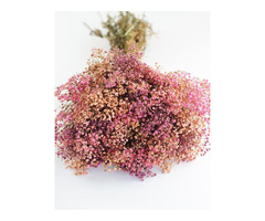 Buy Dried Flowers Online UK-Dried Flowers & Decor - 1