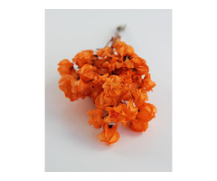 Buy Dried Flowers Online UK-Dried Flowers & Decor - 3