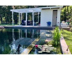 Harmony with Nature: Exploring Natural Swimming Pools  | free-classifieds.co.uk - 1
