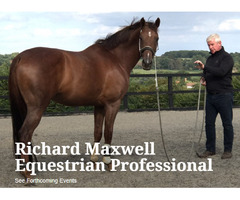 Richard Maxwell   | free-classifieds.co.uk - 1