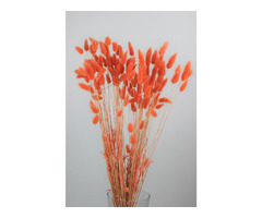 Perfect for Autumn Weddings; Dried Flowers in the UK! | free-classifieds.co.uk - 2
