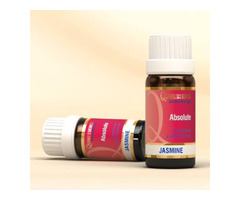 Pure Bliss: Absolute Essential Oils Online at Quinessence - 1