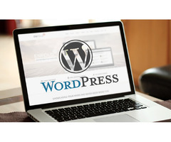 Get an all-inclusive solution | WordPress Development Company - 1