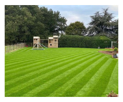 Discover Excellence in Lawn Care with Coton Machinery Seeds! | free-classifieds.co.uk - 3