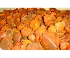 Best quality Ox cow Gallstones , cattle Gallstones | free-classifieds.co.uk - 1