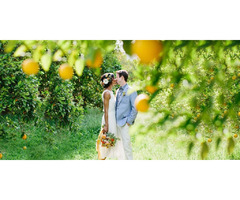 Lemon Themed Wedding On The Amalfi Coast | free-classifieds.co.uk - 1