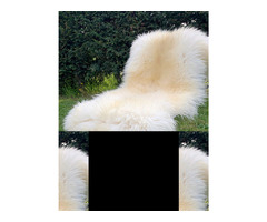 Long-haired Dutch sheepskin XXL | free-classifieds.co.uk - 4