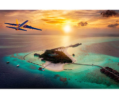 Limelight Travel: Curate Your Dream Getaway | free-classifieds.co.uk - 1