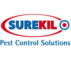 Reclaim Your Space with Surekil Pest Control Ltd – Carlisle's Premier Pest Experts! | free-classifieds.co.uk - 2