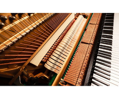 Make Your Piano Sing Again with Southampton's Tuning Virtuosos - 4
