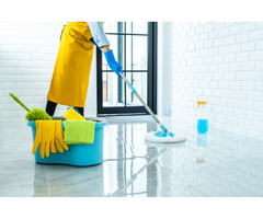 Refresh Your Space with Citrus Cleaning Services | free-classifieds.co.uk - 1