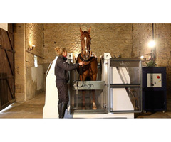 Equine Cold Water Spa For horses at ECB Equine Spas | free-classifieds.co.uk - 1