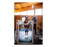 Equine Cold Water Spa For horses at ECB Equine Spas | free-classifieds.co.uk - 3
