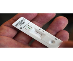 Stay Safe with Convenient COVID Test Kits | free-classifieds.co.uk - 2