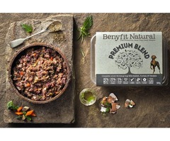 Choose The Best Natural Dog Food Brand For Your Pets | free-classifieds.co.uk - 3