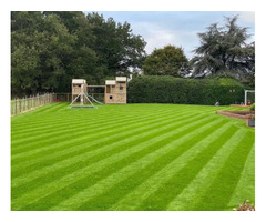 Achieve Lawn Perfection with Coton Machinery's Grass Seeds | free-classifieds.co.uk - 1