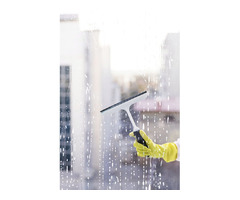 Citrus Cleaning Services for Flawless Window Cleaning! | free-classifieds.co.uk - 3