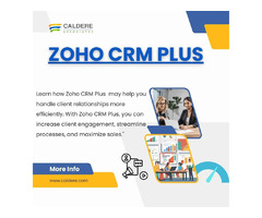 Maximize Efficiency with Zoho CRM Plus - 1