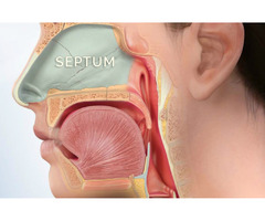 Top ENT Specialists in London: Premier Care for Nasal Health and Septal Perforation Solutions - 1
