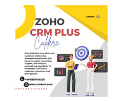 Maximise Efficiency with Zoho CRM Plus | free-classifieds.co.uk - 1
