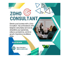 Elevate Your Success with a Professional Zoho Consultant - 1