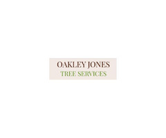 Breathe New Life into Your Kent Property with Oakley Jones Tree Surgery  | free-classifieds.co.uk - 1