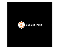 Rest Easy Knowing Bed Bugs Are Gone: Begone Pest Offers Peace of Mind in Bromley - 1