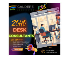 Professional Zoho Desk Consulting Services by Caldere - 1