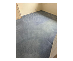 Carpet Cleaning | free-classifieds.co.uk - 1