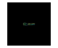 Choose RSK Cyber Security for Vapt Testing Services
