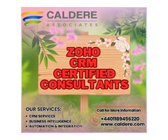 Top Zoho CRM Consultants | Caldere Certified Team